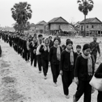 Gemini_Generated_Image_m4ljncm4ljncm4lj